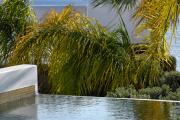 Anax Resort and Spa