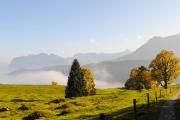 Hirschen - Fine Hotel, Restaurant & Spa