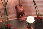 Riad Carina