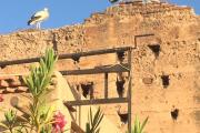 Riad Carina
