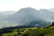 Hirschen - Fine Hotel, Restaurant & Spa