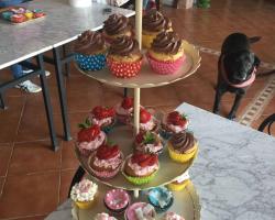 Il Giardino delle Esperidi