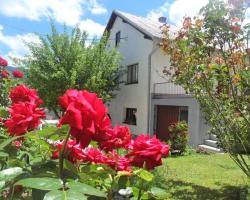 Guest House Olbina