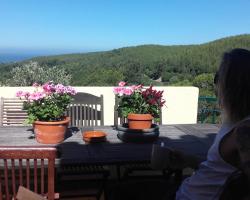 Guincho Wayra House
