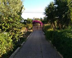 B&B Bouganvillea