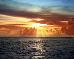 Sea Joy guesthouse and restaurant