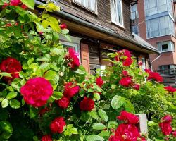 Wooden apartments