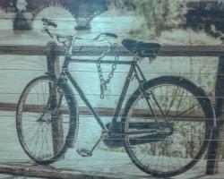 Trastevere & Free Bikes