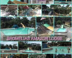 Bromelias Amazon Lodge