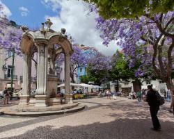 Lisboa Carmo Hotel