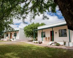 Olive Grove Guest Farm