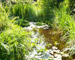 Hotel Käferstein garni