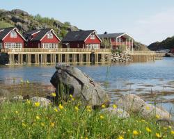 Lofoten Rorbusuiter