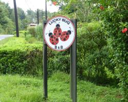 Lucky Bug Bed And Breakfast