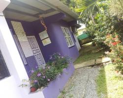 Purple House Hostel