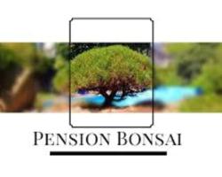 Penzion Bonsai