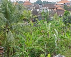 Kori Bali Inn I