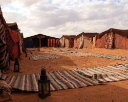 Bivouac les Touareg chez Bachir