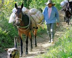 El Descanso Del Arriero