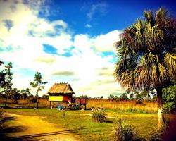 Everglades Chickee Cottage & Bungalow - Ochopee