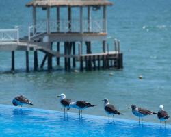 Apartamento Frente a Islas Ballestas