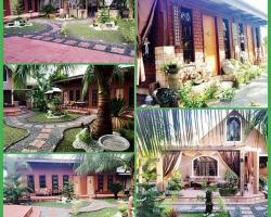 BOGNOT LODGE : ALVIN BOGNOT MT PINATUBO GUESTHOUSE AND TOURS