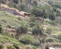 Casa Rural El Rincón de Antonia