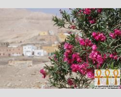 Les Appartements de la Concorde