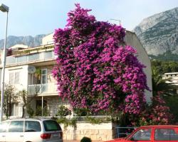 Twin Room Makarska 6644a