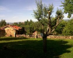 La Morera de Agustina