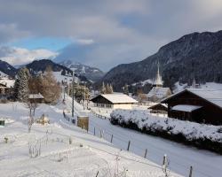 Studio chalet du Bonheur