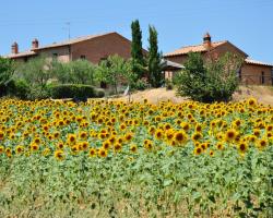 Tenuta Il Casone