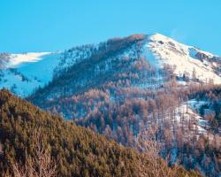 Hotel Chamois d'Or