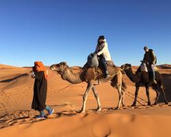 Sahara camel tours camp