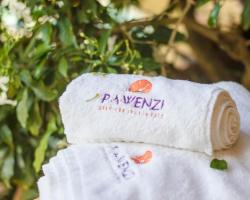 Pawenzi Serviced Apartments