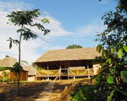 Amazon Dolphin Lodge