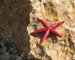 Hotel Noto Marina Stella Marina - B&B