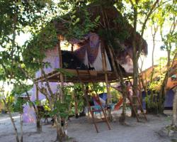 Camping & Hostel Flor Do Cerrado