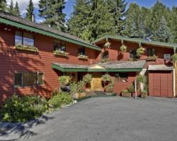 Cedar Springs Lodge Bed & Breakfast