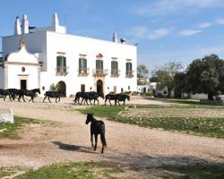 Masseria Tagliente