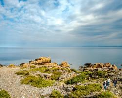 Hotell och Restaurang Hovs Hallar