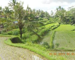 Matahari Lumbung's Bungalow