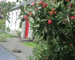 The School House Castledermot