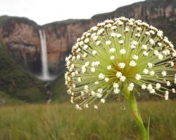 Pousada Tabuleiro Eco