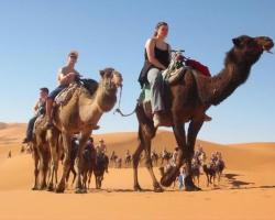 Camel Trekking Bivouac