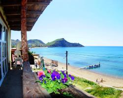 Новая Династия