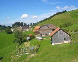 Apartment Ober-Tiefenbühl