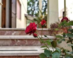 Casa Vacanze da Sonia