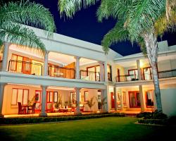 Silver Palms