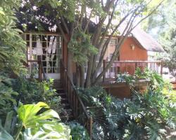 Treetops & Treats Guest House